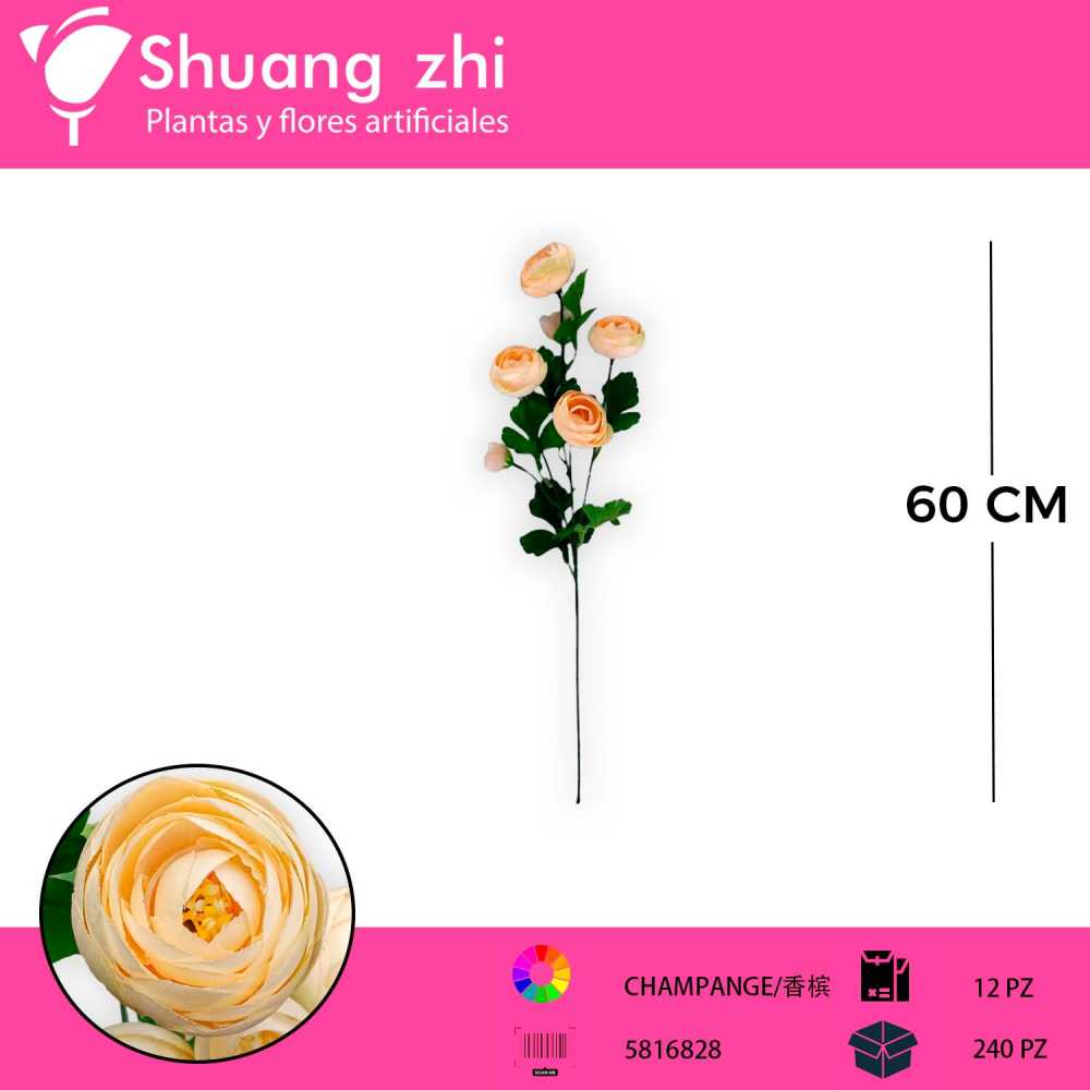VARA PEONIA CHAMPAN 60CM