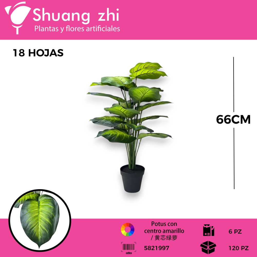 PLANTA 18 HOJAS