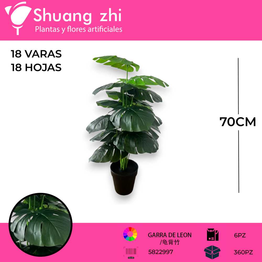 PLANTA 18 HOJAS CON MACETA
