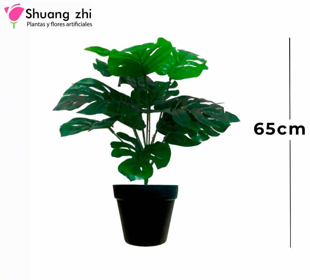 PLANTA 15 RAMAS 1 CON MACETA