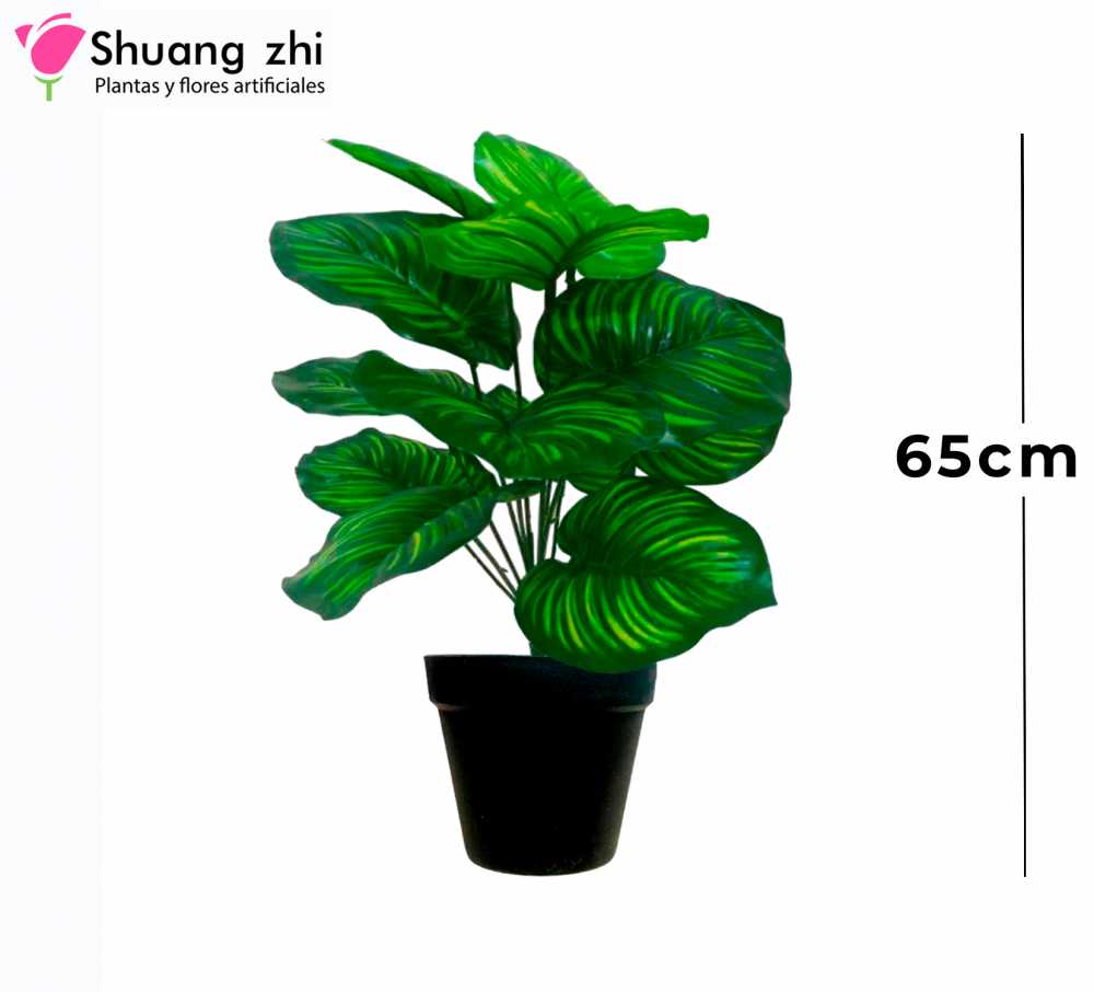 PLANTA 15 RAMAS 2 CON MACETA