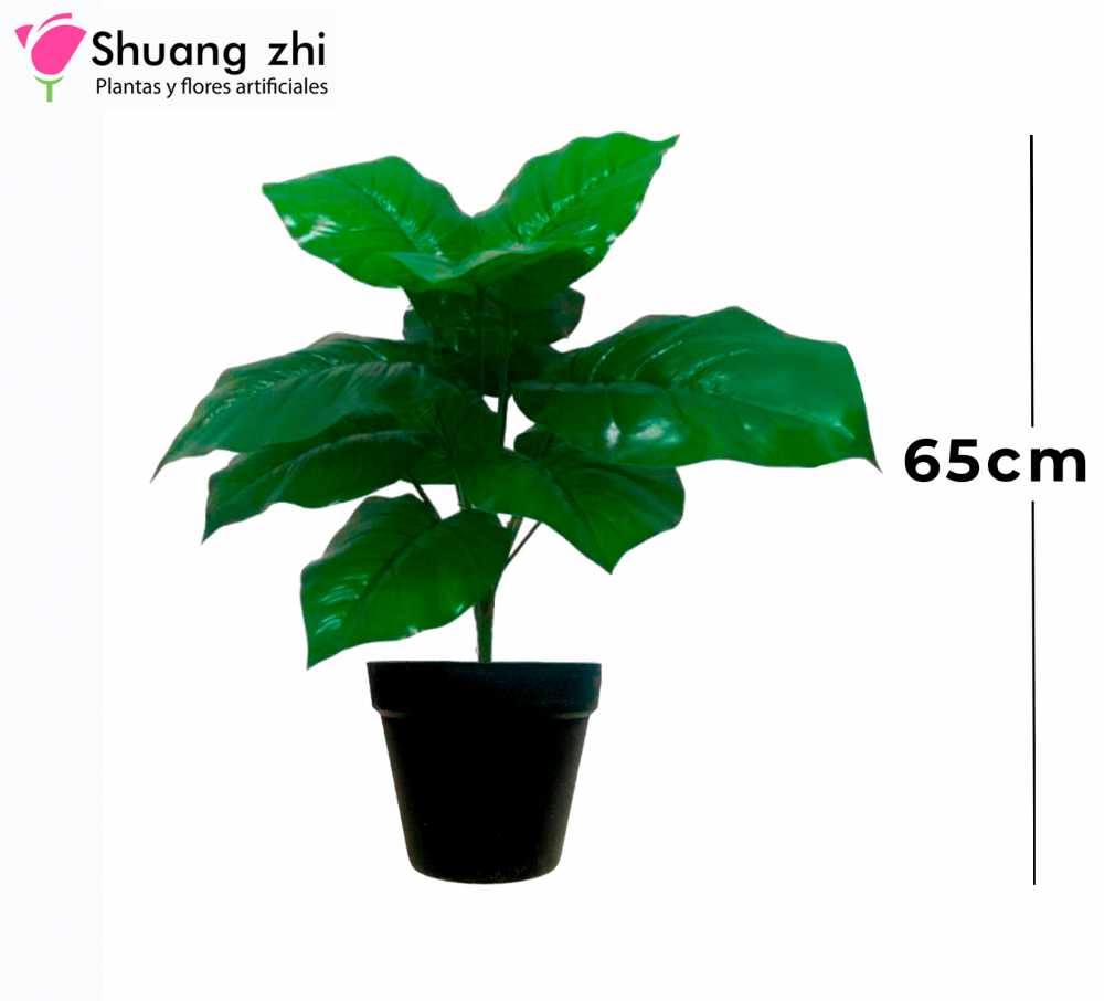 PLANTA 15 RAMAS 3 CON MACETA