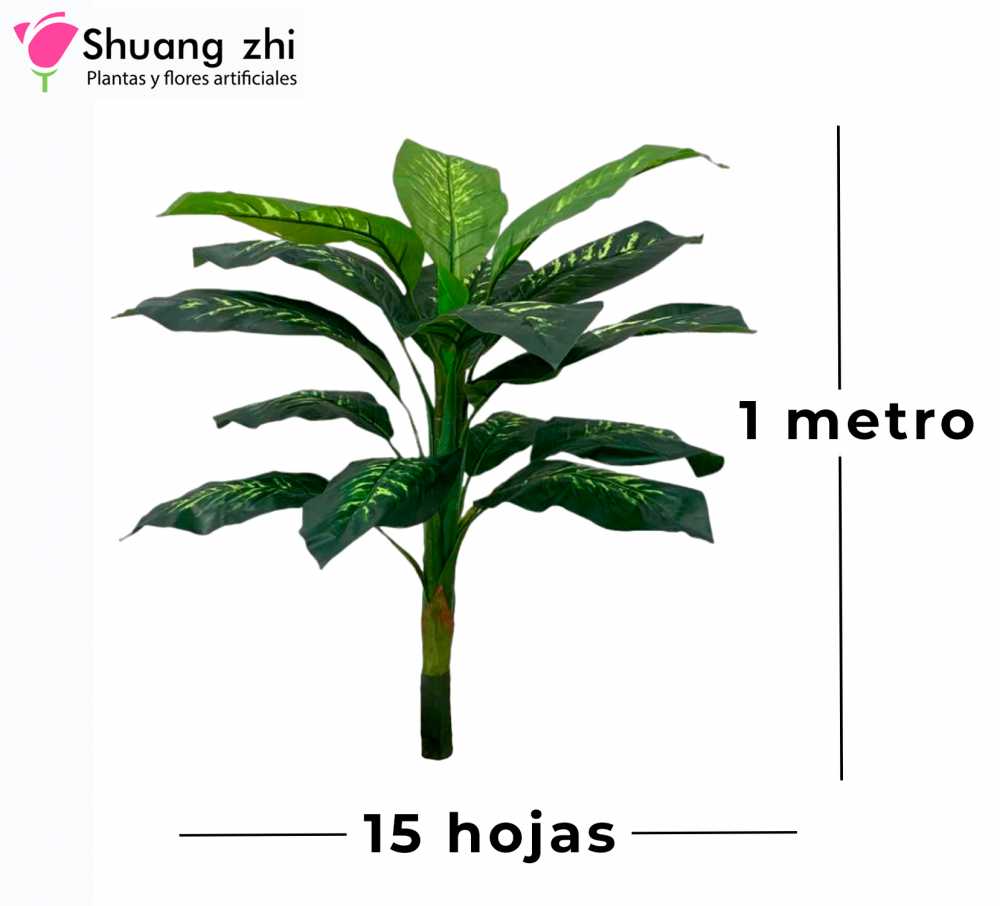 PLANTA  1M 15 HOJAS SIN MACETA
