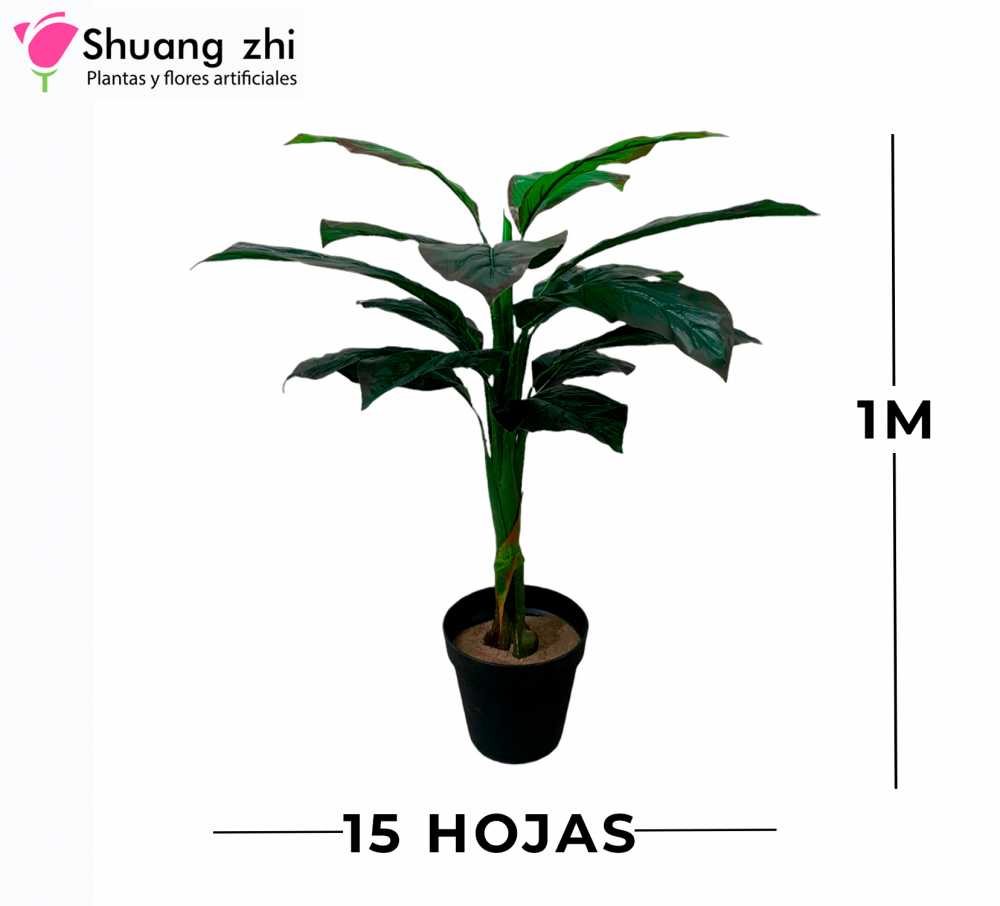 PLANTA 1M 15 HOJAS CON MACETA