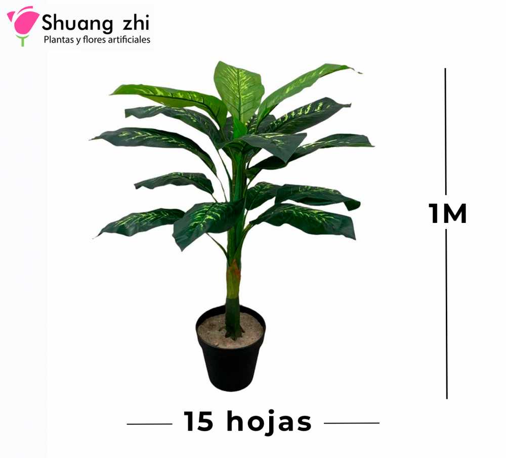 PLANTA 1M 15 HOJAS CON MACETA