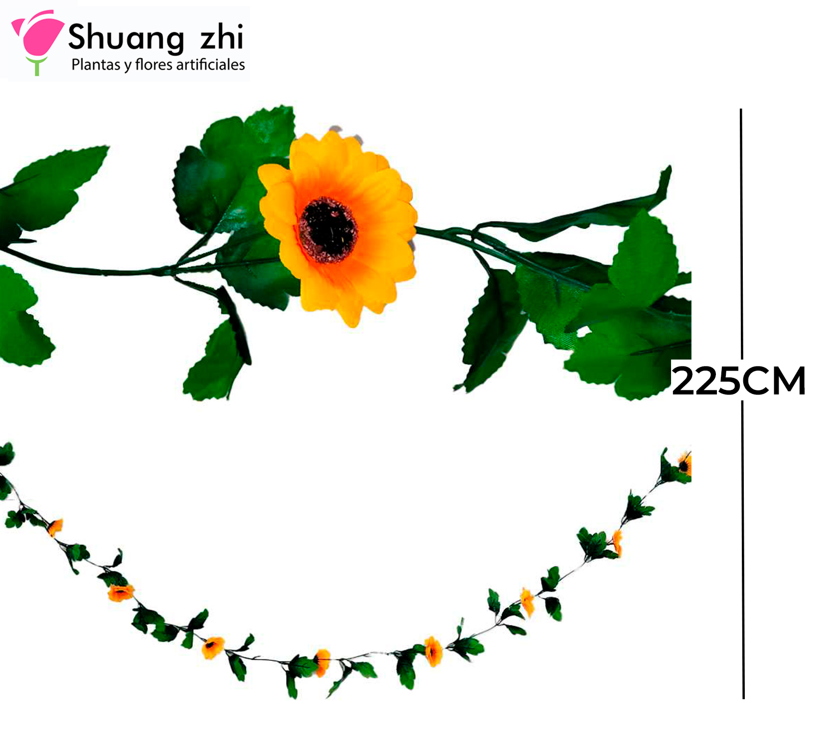 GUIA GIRASOL 225CM 24 CABEZAS