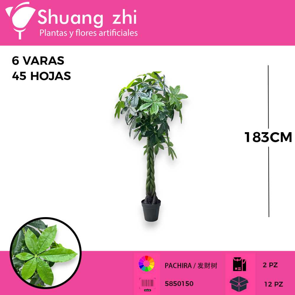 PLANTA PACHIRA CON MACETA 183CM