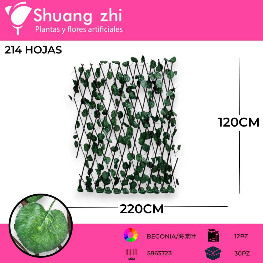 REJA BEGONIA 120CM 225HOJAS