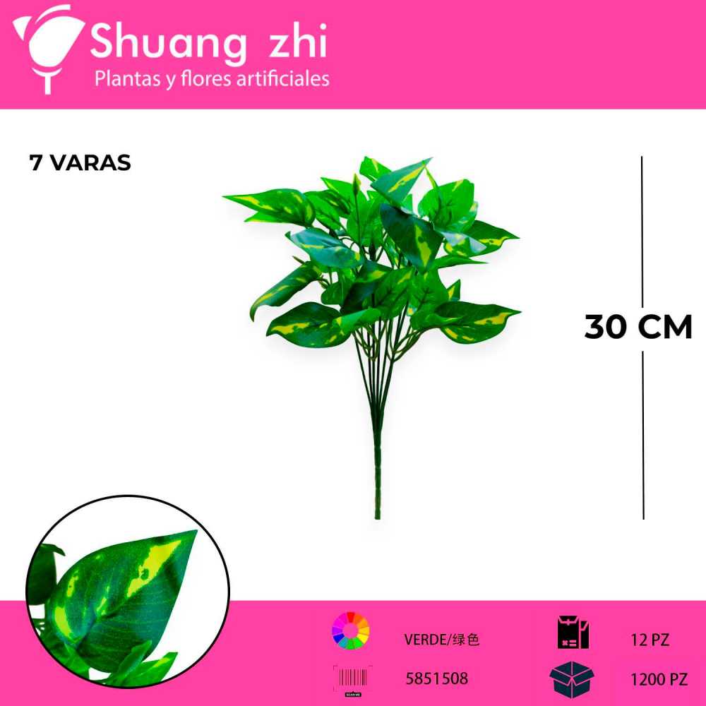 FOLLAJE PEQUEÑO DE AGLAONEMA DE 7 RAMAS