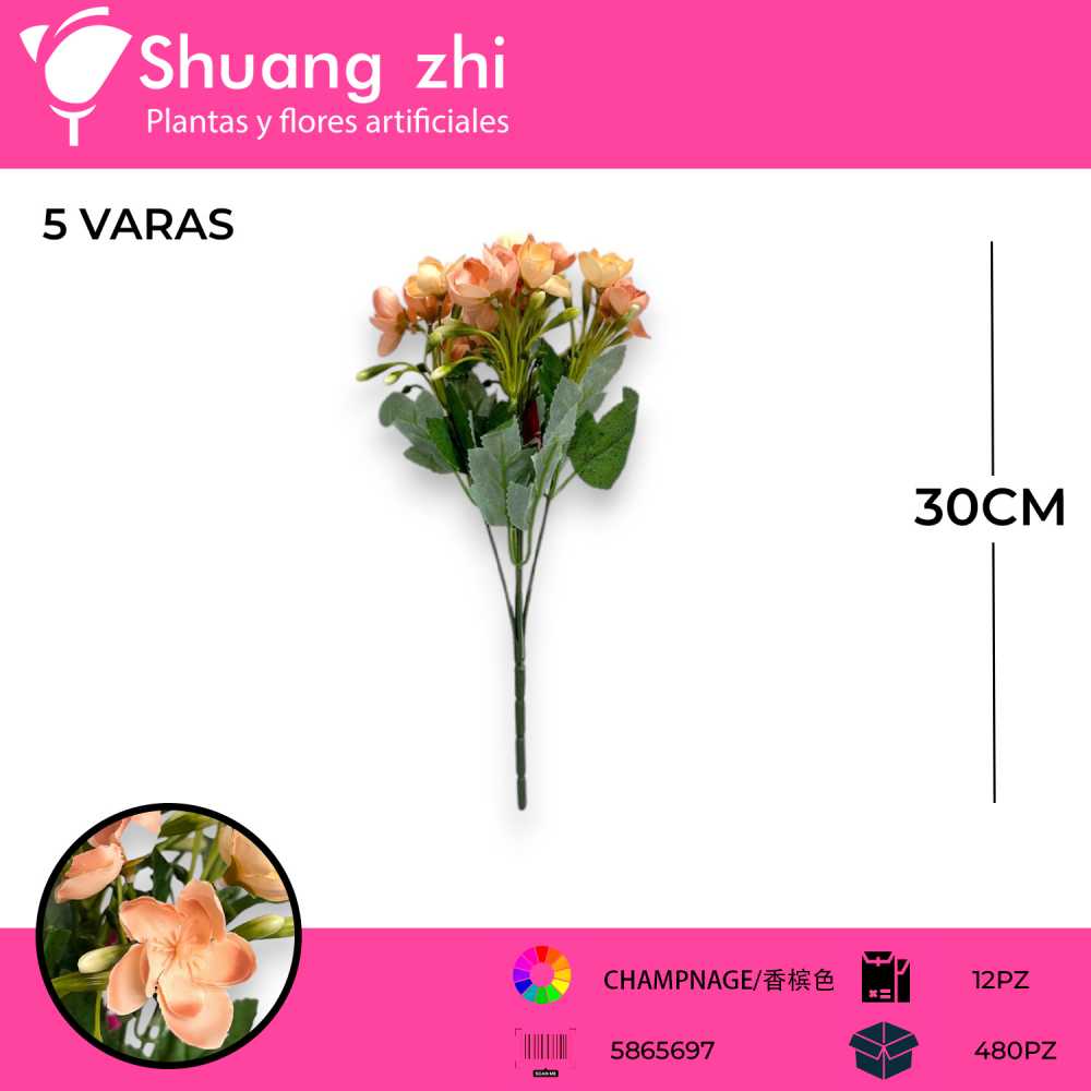 FLOR MINI CHAMPANGNE 5 VARAS 30CM