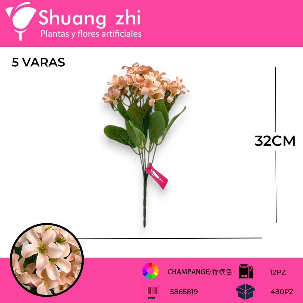 FLOR MINI CHAMPAN