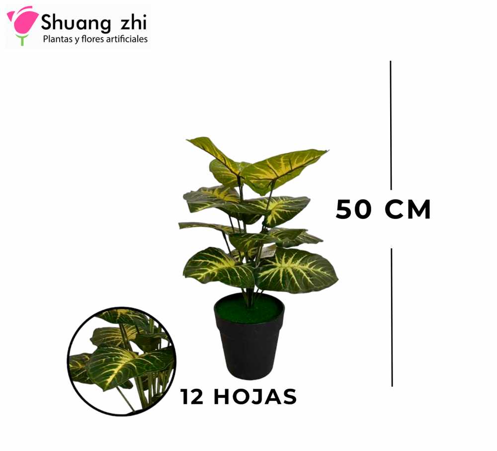 PLANTA 12 HOJAS