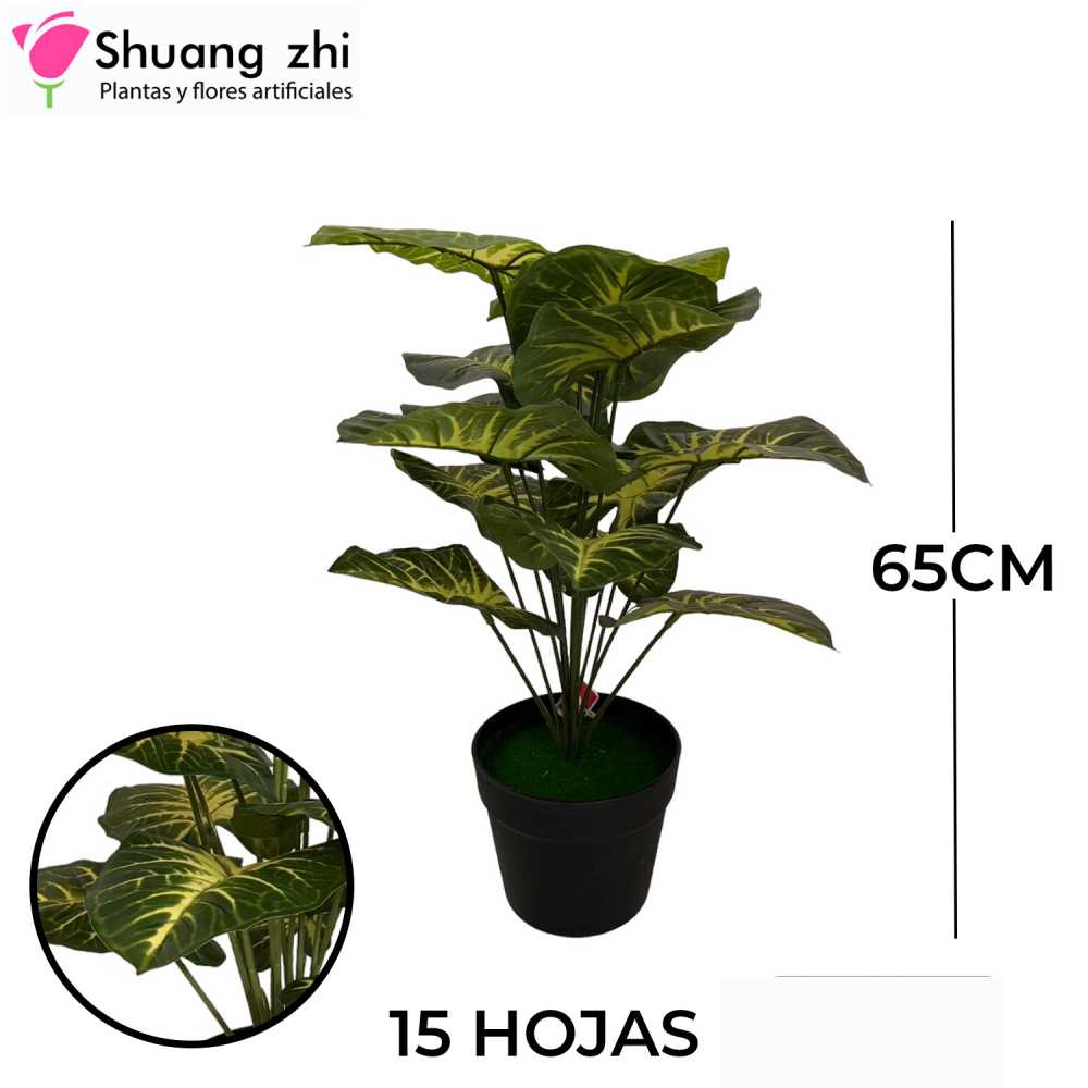 PLANTA 15 HOJAS CON MACETA