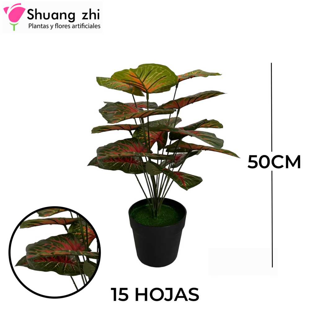 PLANTA 15 HOJAS CON MACETA