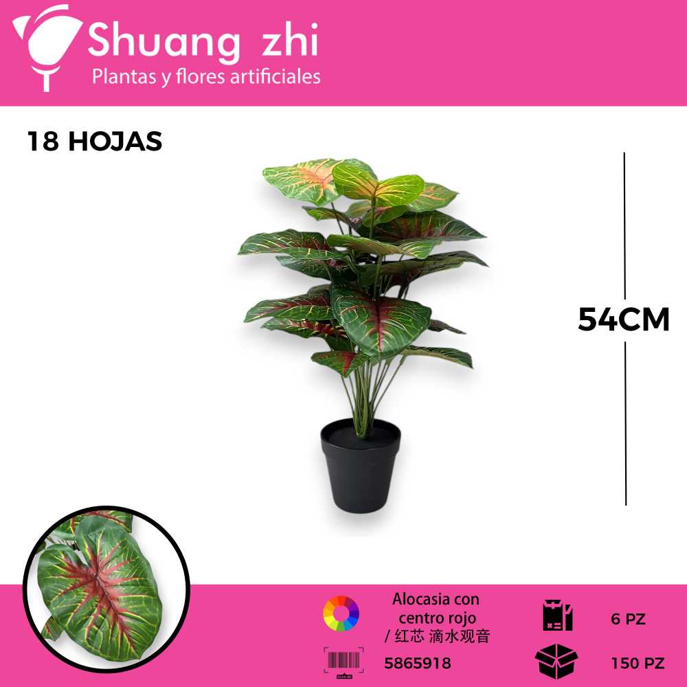 PLANTA 18 HOJAS CON MACETA