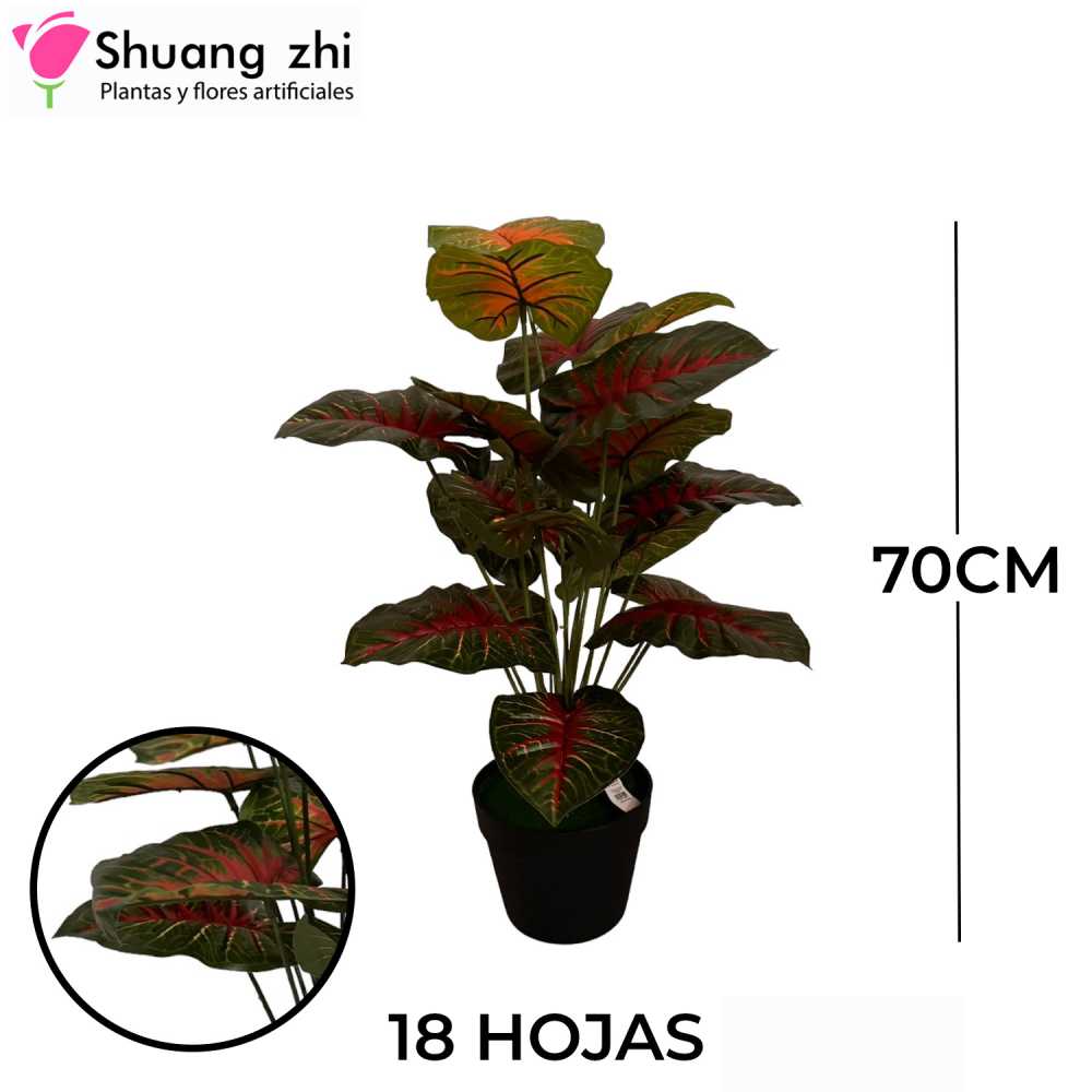 PLANTA 18 HOJAS CON MACETA