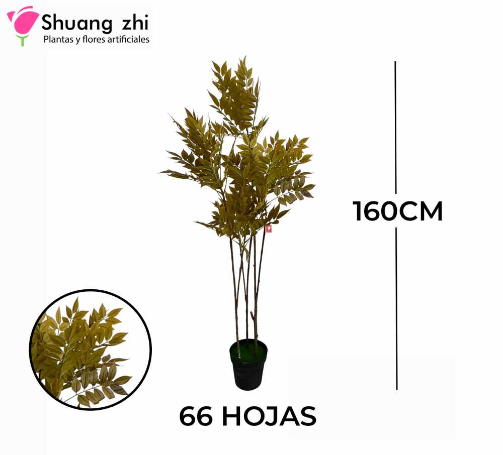 PLANTA 66 HOJAS CON MACETA