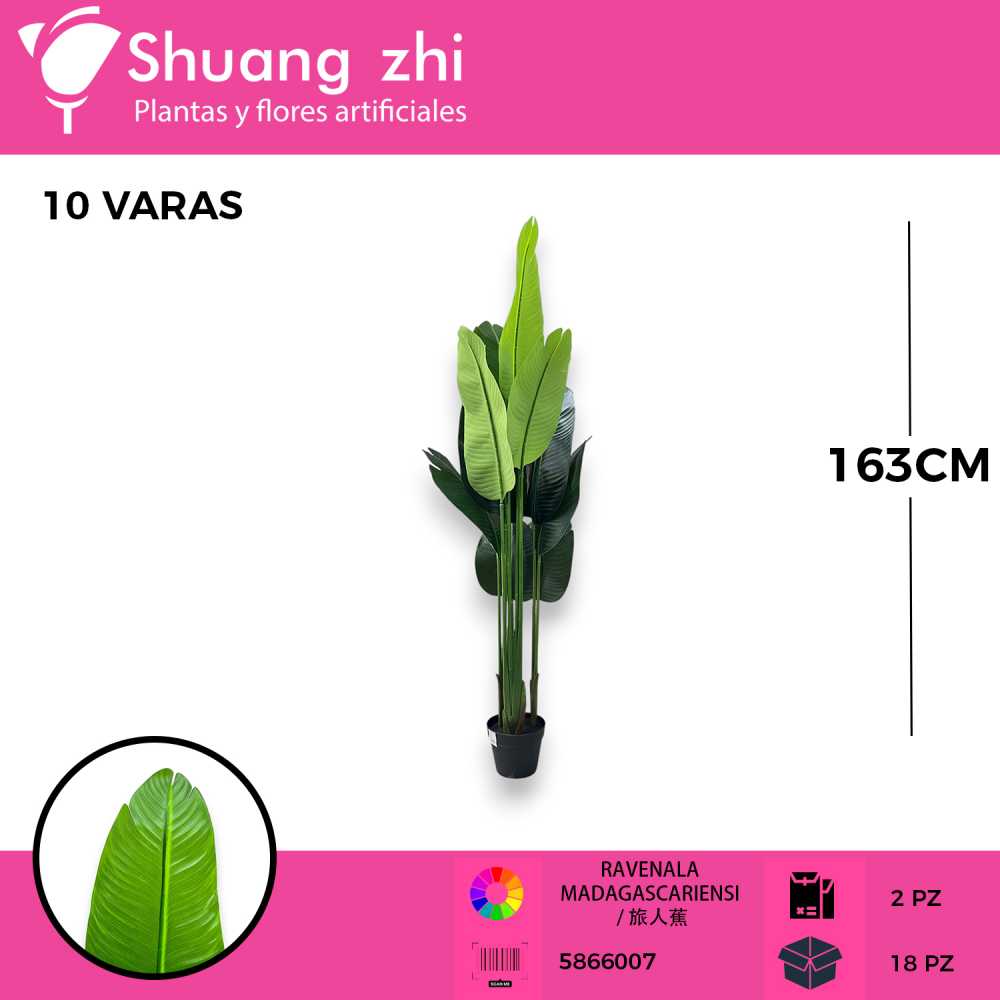 PLANTA PALMERA 10 HOJAS CON MACETA 163CM