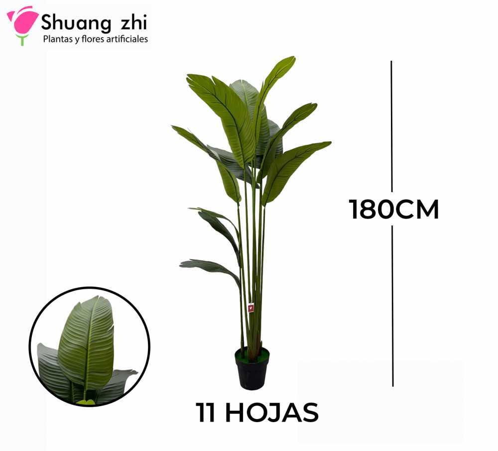 PLANTA PALMERA 11 HOJAS CON MACETA
