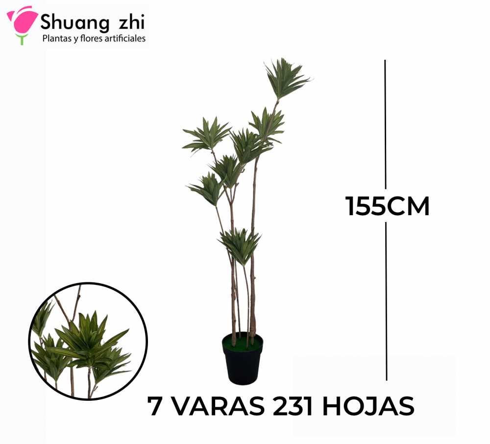 PLANTA 7 VARAS 23 HOJAS