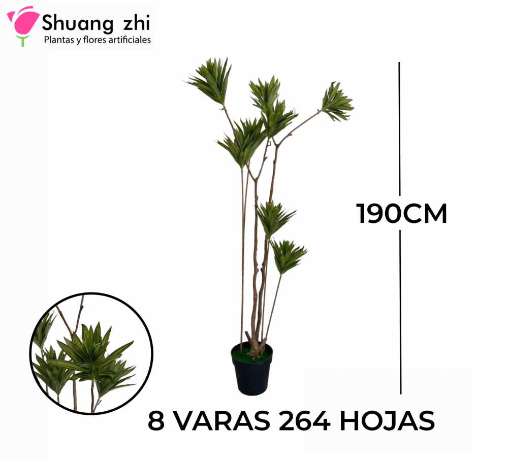 PLANTA 8 VARAS 264 HOJAS CON MACETA