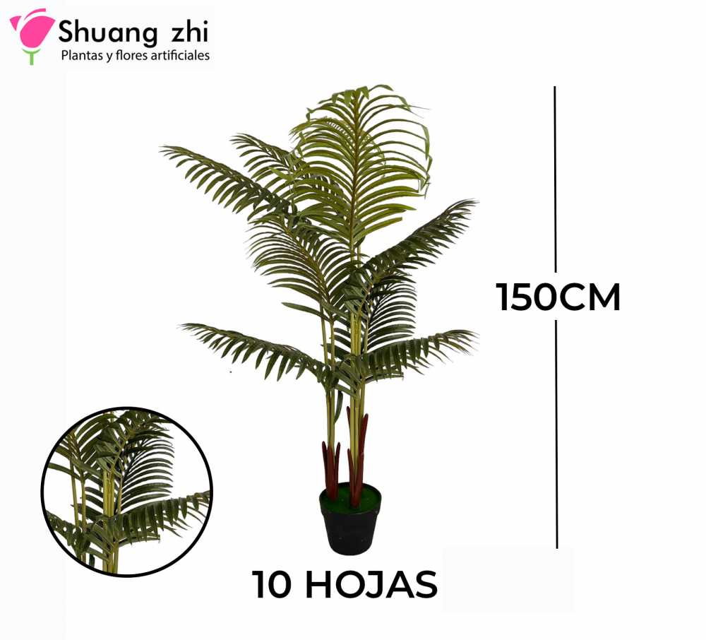 PLANTA 10 HOJAS CON MACETA