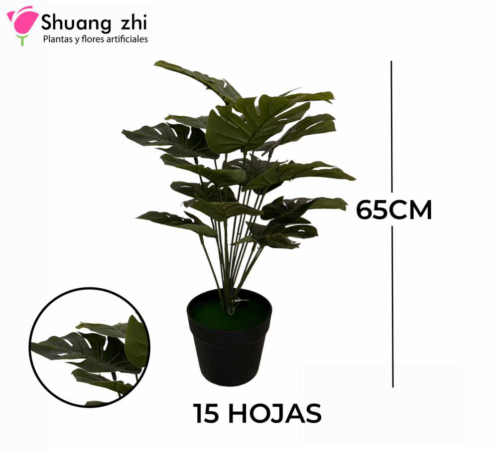 PLANTA 15 HOJAS CON MACETA
