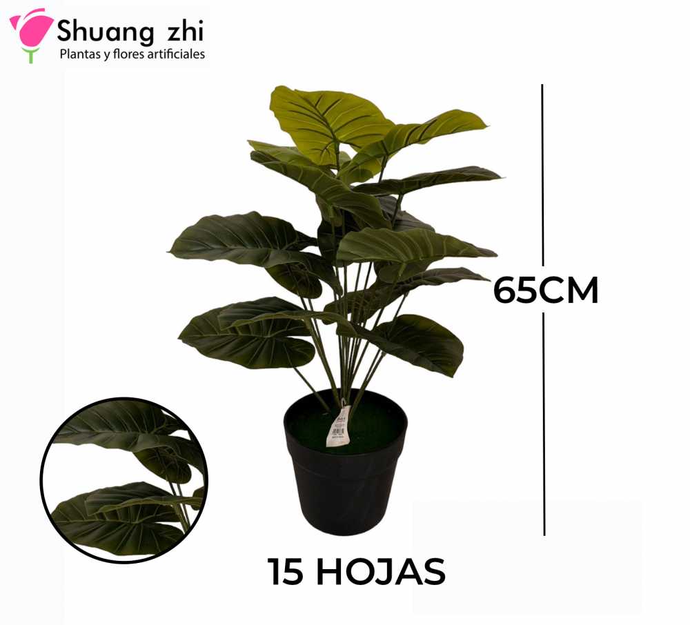 PLANTA 15 HOJAS CON MACETA