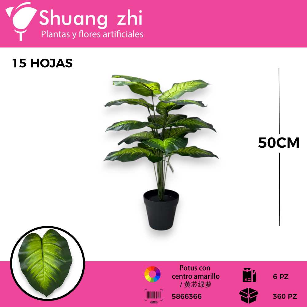 PLANTA 15 HOJAS CON MACETA