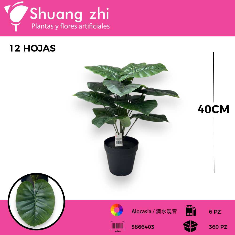 PLANTA 12 HOJAS CON MACETA