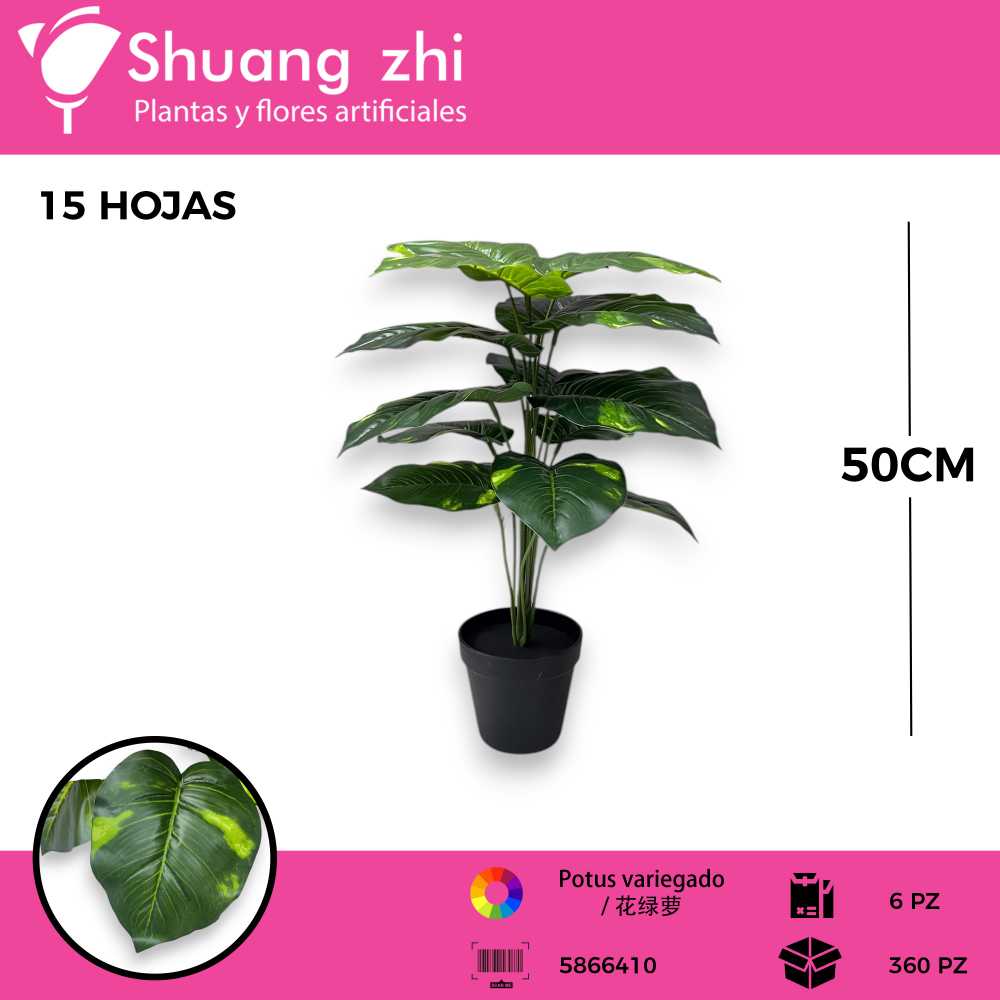 PLANTA 15 HOJAS CON MACETA