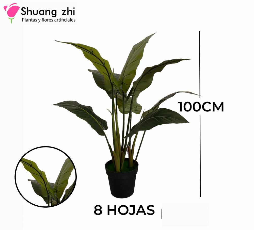 PLANTA PALMERA 8 VARAS CON MACETA