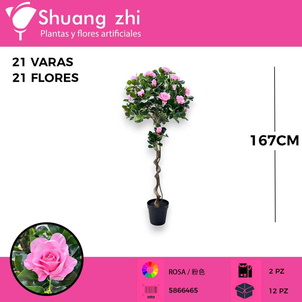 PLANTA 147 ROSAS ROSA CON MACETA