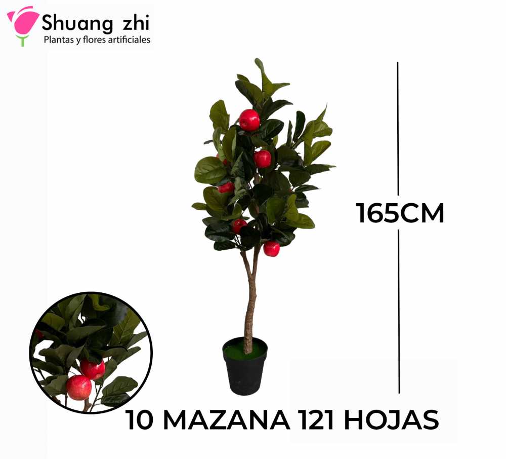 PLANTA MANZANERA CON MACETA