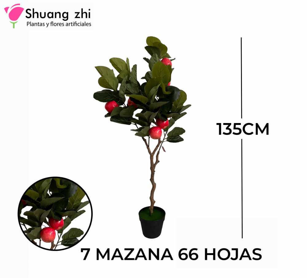 PLANTA MANZANO CON MACETA