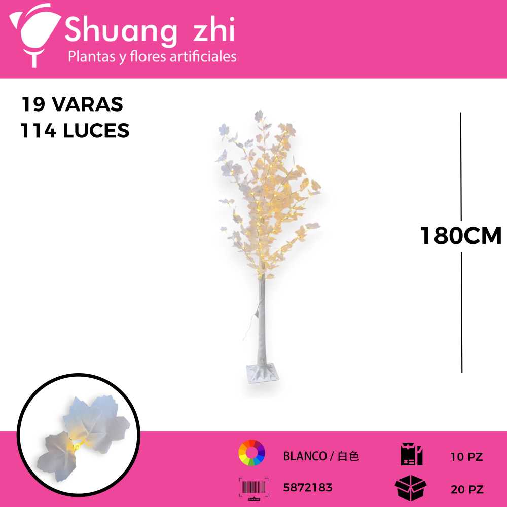 ARBOL ARCE BLANCO 1.8 M
