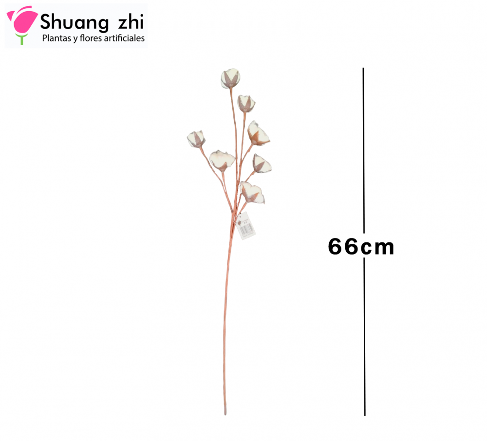 VARA ALGODON 66CM