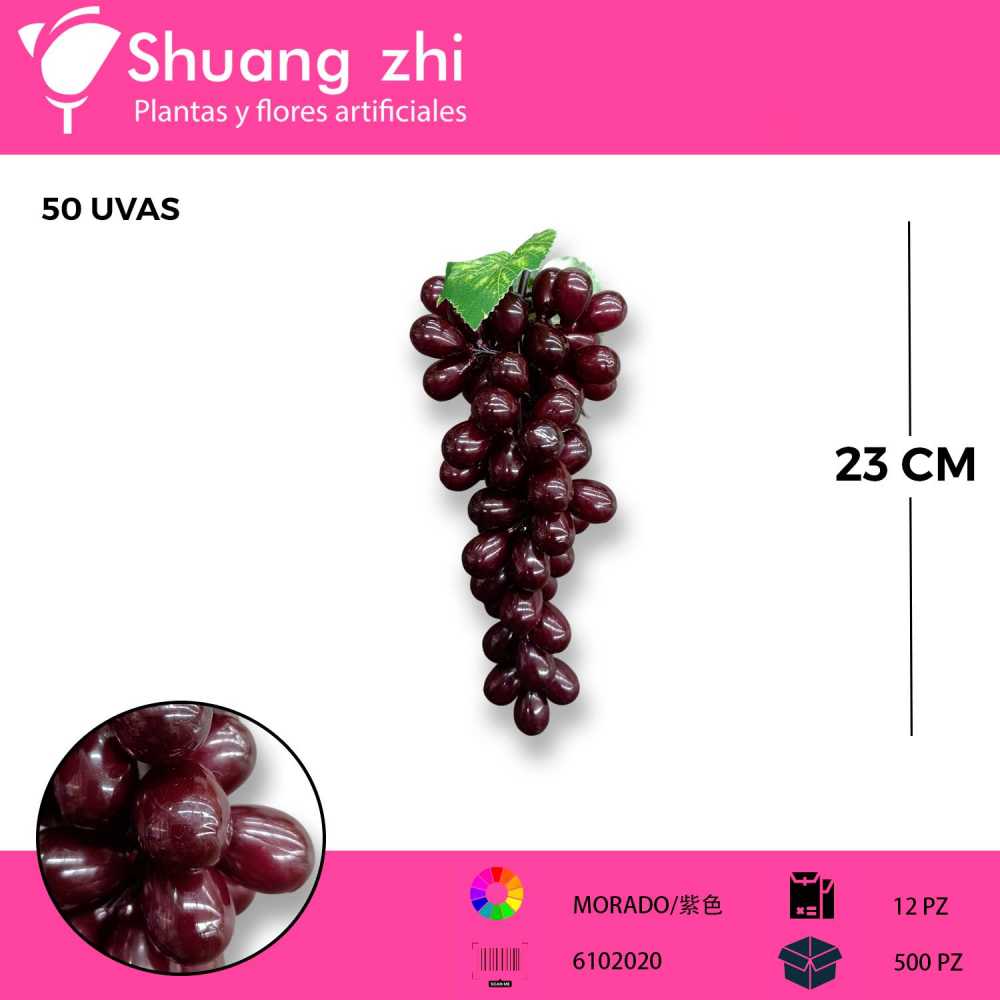 FRUTA