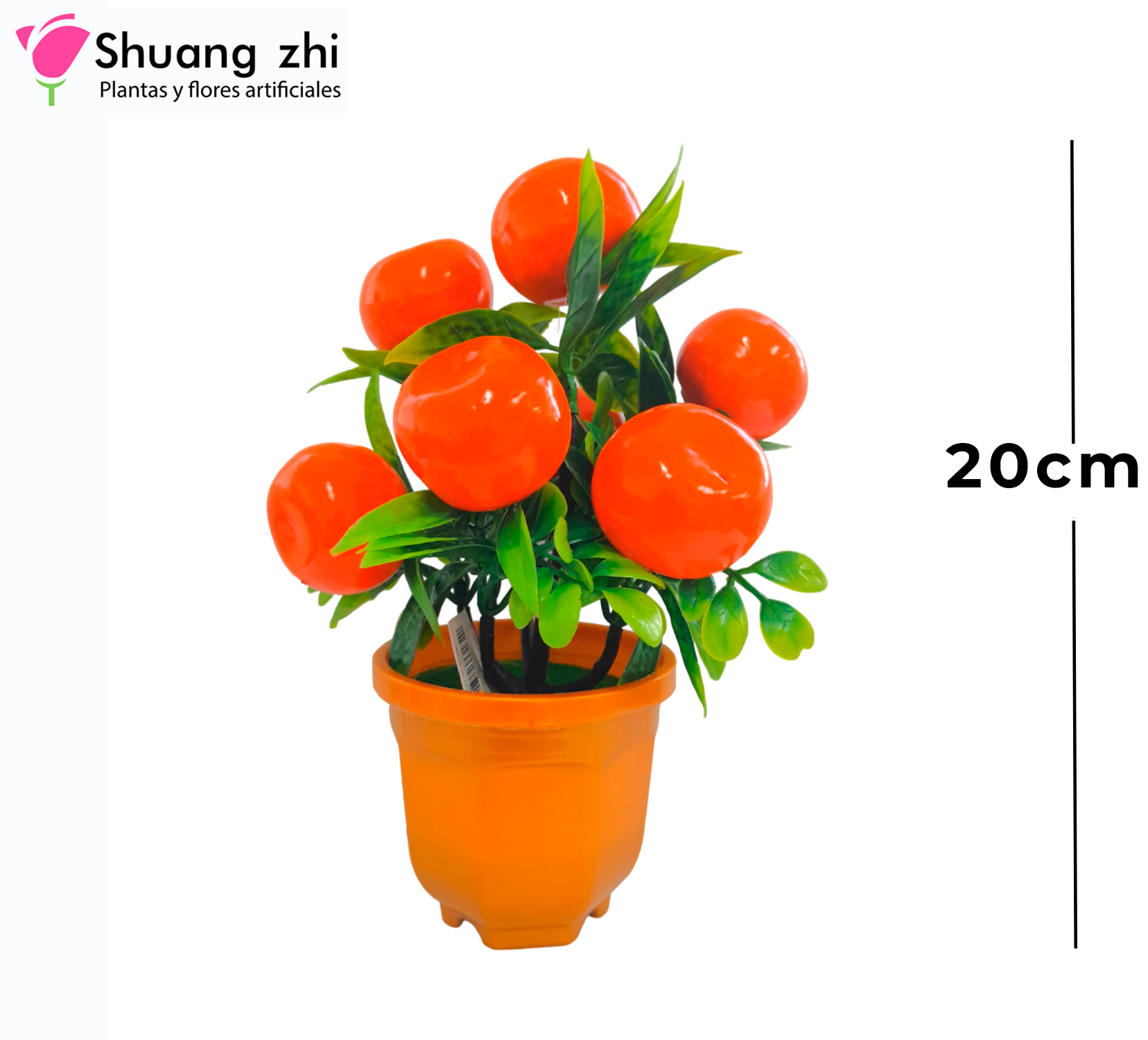 FRUTA MACETA MANDARINA 20CM
