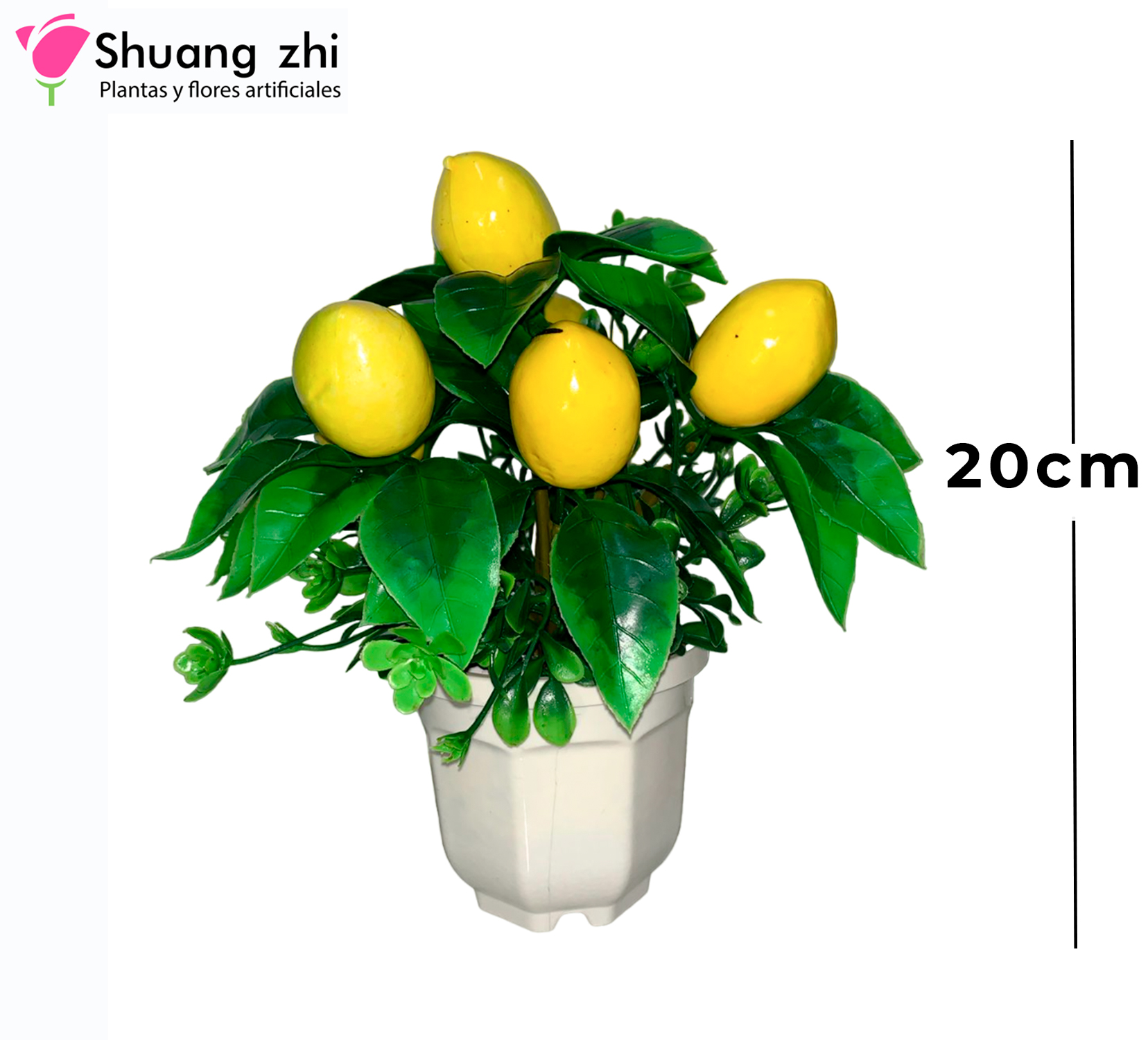 FRUTA MACETA LIMON 20CM