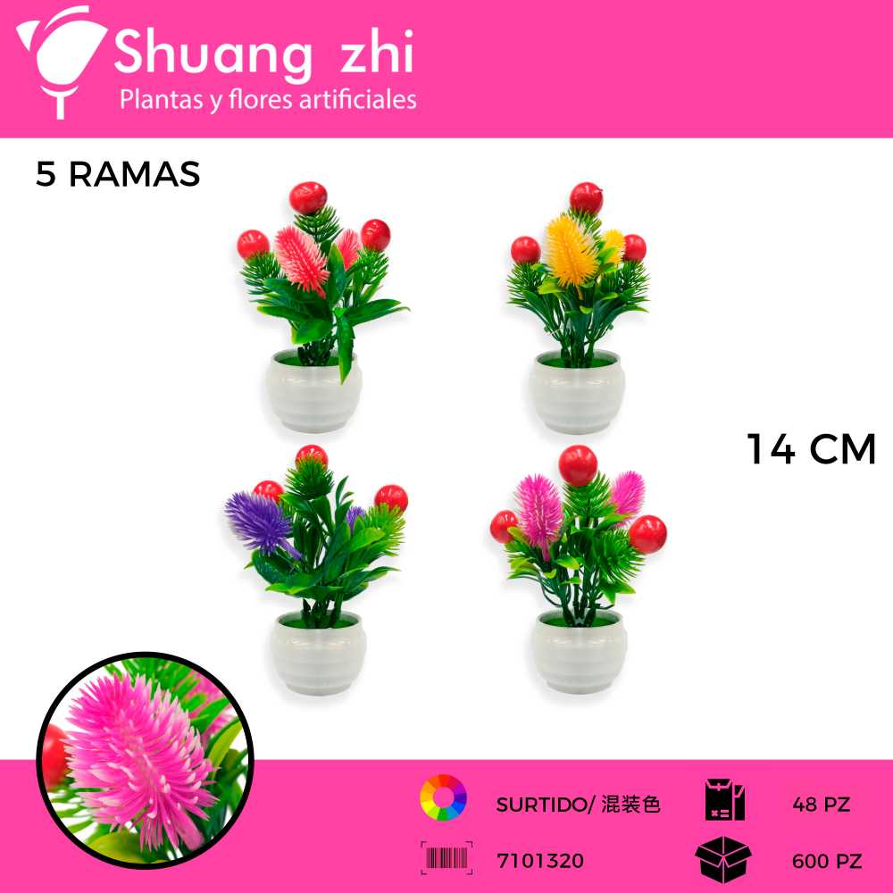 FLOR MINI MACETA 15CM 5 CABEZAS