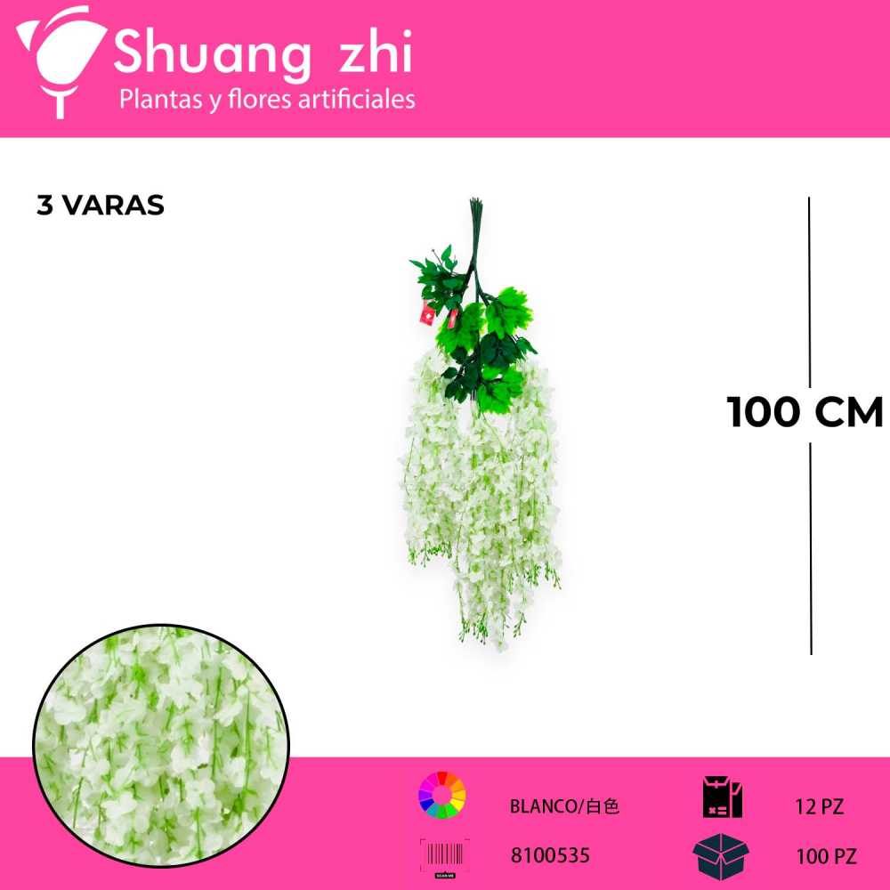 WISTERIA BLANCA PACK 12 PCS