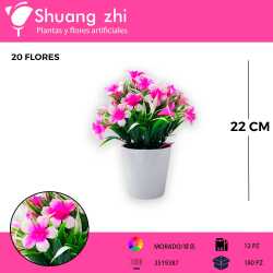 MACETA MINI FLOR FUCSIA 22CM