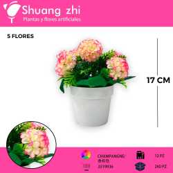 MACETA MINI CEMPASUCHIL CHAMPANGNE 17CM