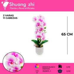 MACETA DE ORQUIDEAS ROSAS LM17000