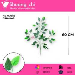 HOJA FICUS VERDE 12 PCS