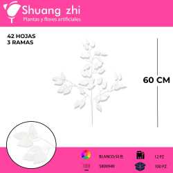 FICUS BLANCOR 3 RAMAS 12 PCS