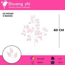 FICUS ROSA 12 PCS