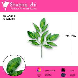 HOJA MANGO 