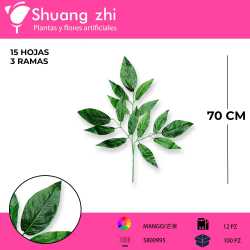 HOJA MANGO 